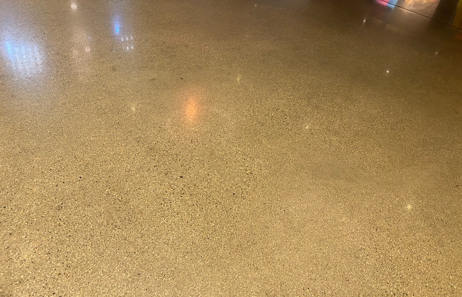 Salt and Pepper finish of polished concrete